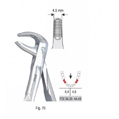 Щипцы экстракционные для нижних премоляров (DE.800.750)