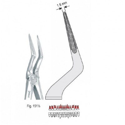 Щипцы экстракционные для верхних корней (DE.801.510)