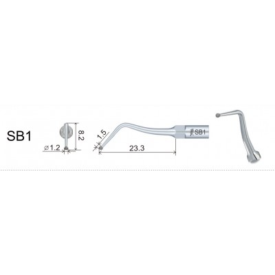 Насадка для скалера SB1